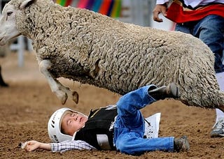 Illustration for article titled The Patriotism Of "Mutton-Bustin'": The Young Men In The Arena Clinging Bravely To Our Last Chance At Global Competitiveness