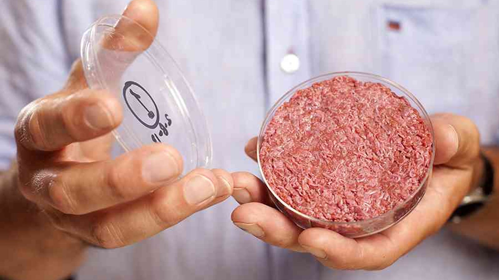 How will produce meat in the future 22 How will produce meat in the future 15
