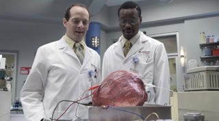 Illustration for article titled Breakthrough: Synthetic Meat Made From Stem Cells