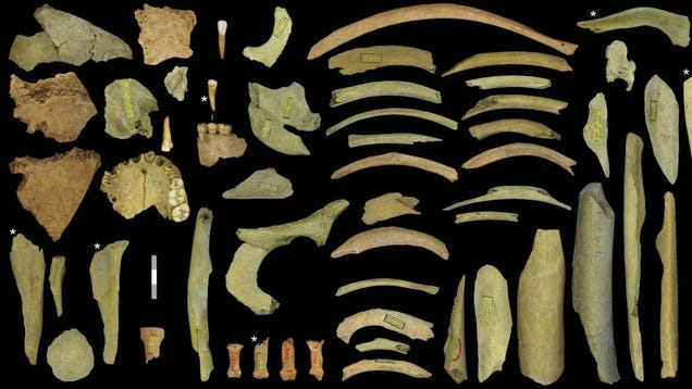 Climate Change Drove Neanderthals to Cannibalism, New Research Suggests