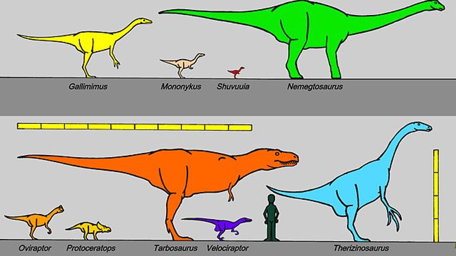 dinosaurs biggest to smallest