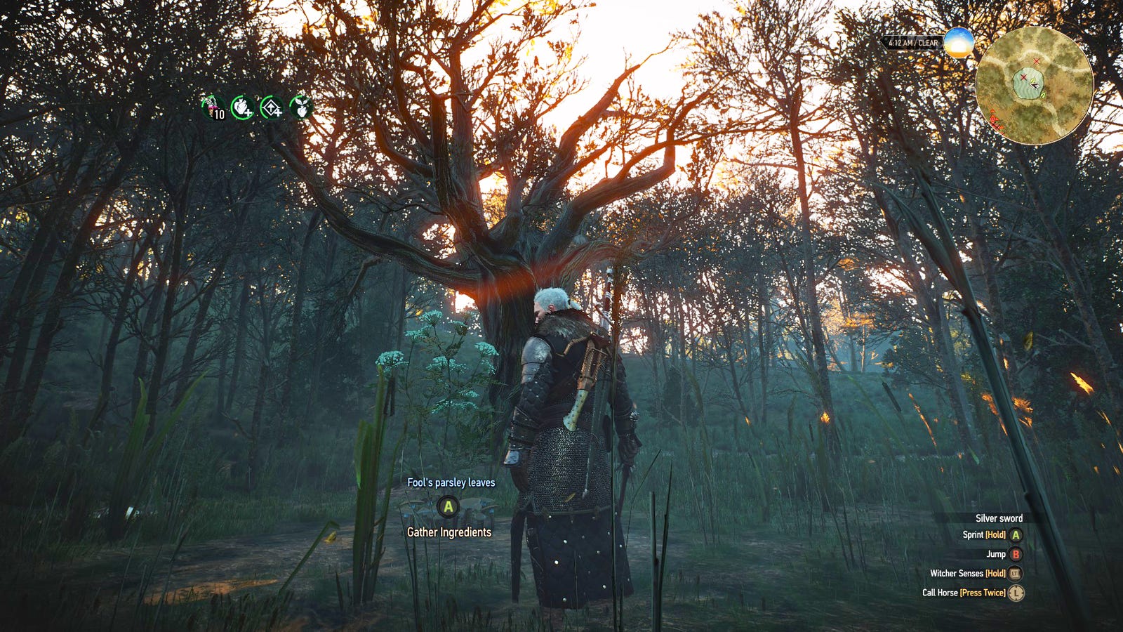 should i kill or save the tree spirit witcher 3