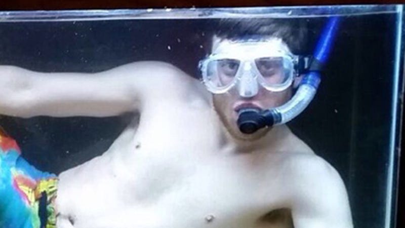 Illustration for article titled Man Achieves Epic Dream of Swimming in Tank With Pet Turtle