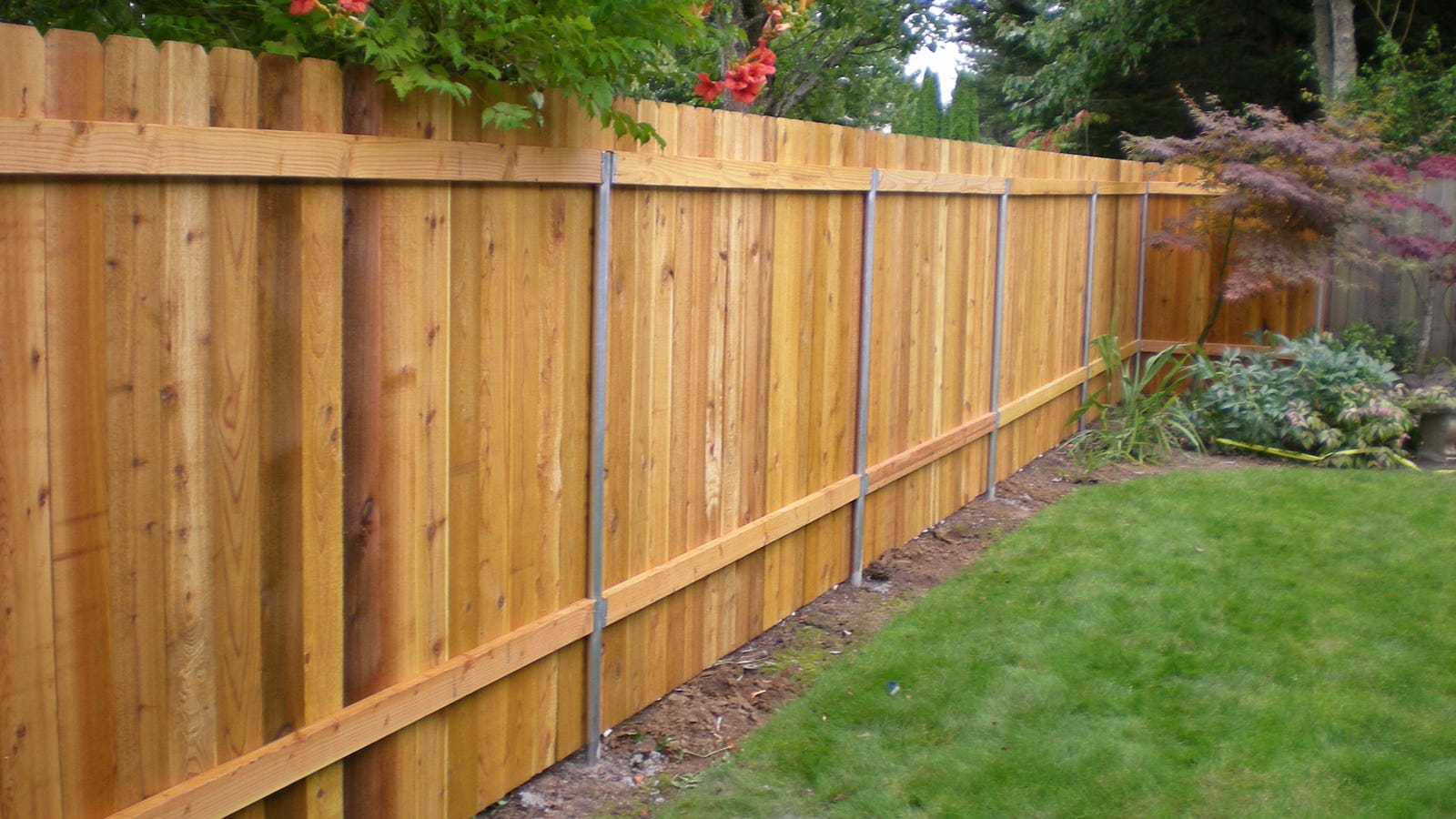 Whose fence is it 