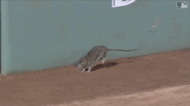 bo6mwusde1grvr8rnekq.gif