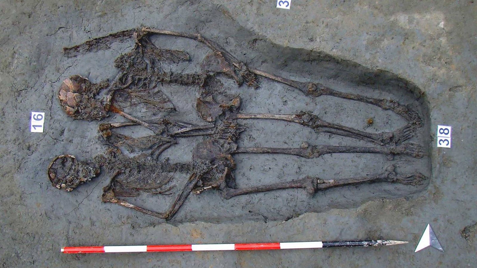 Famous 'Lovers of Modena' Skeletons Were Young Men, New Analysis Finds