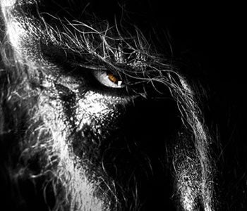Illustration for article titled New Official Posters For Wolfman Make Us Drool