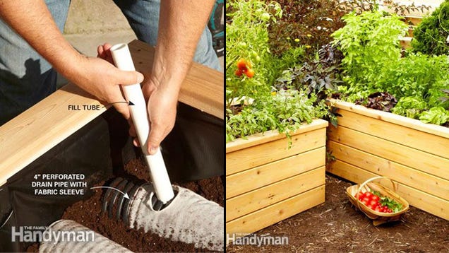 Automate Your Vegetable Garden with these Self-Watering Planters