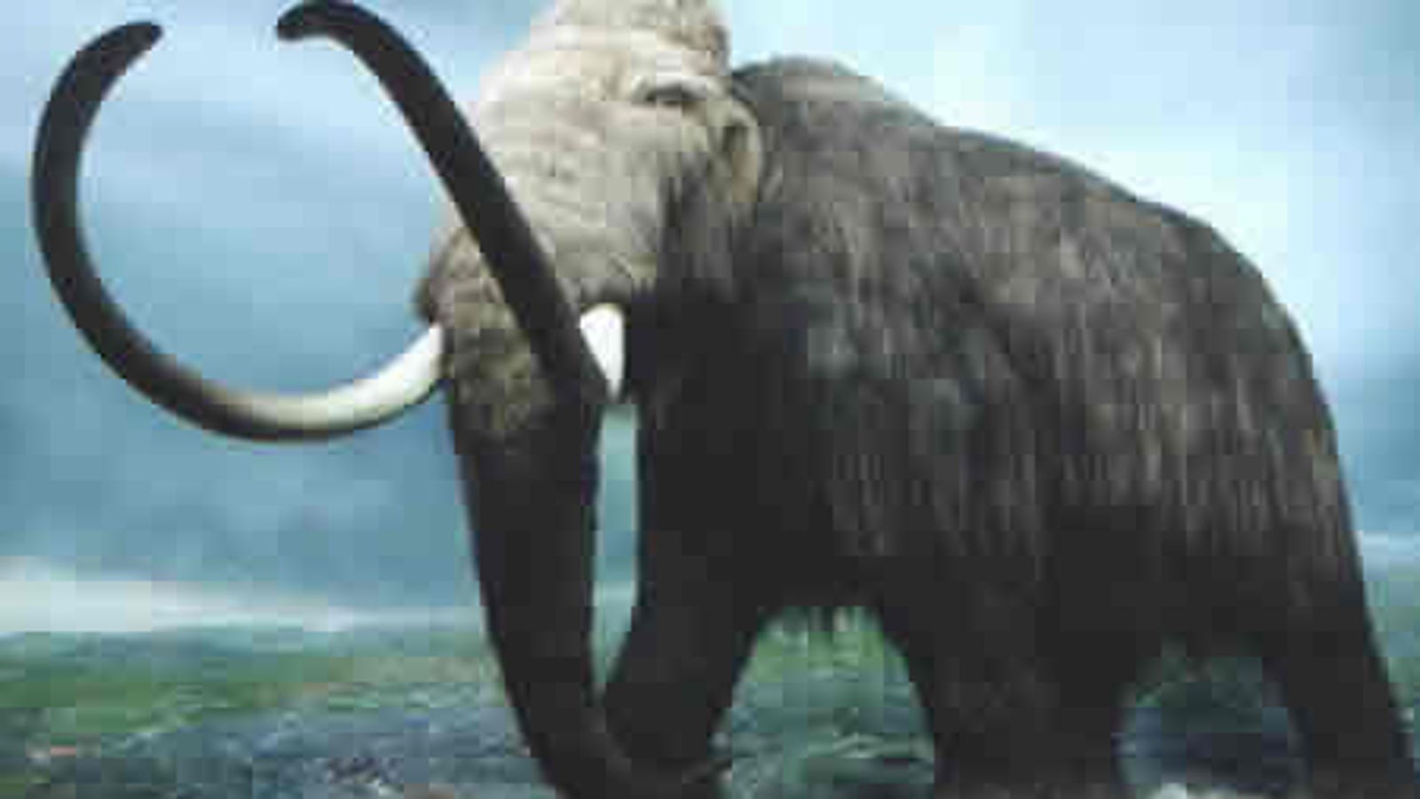 Woolly Mammoths Lived Longer, Died Treedeath, Say Scientists