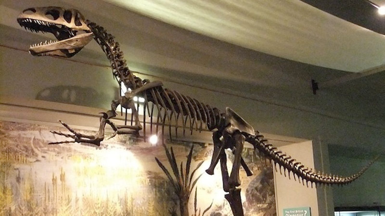 what was the first dinosaur