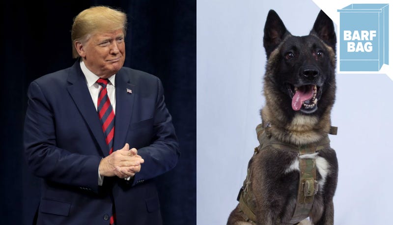 Illustration for article titled The President Has Never Met a Dog