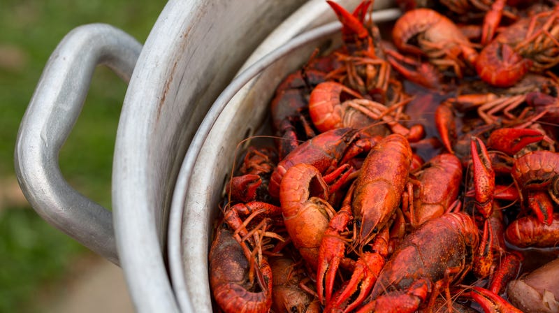 Illustration for article titled Major League Baseball pitcher injures himself cooking crawfish for teammates