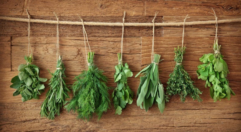 Photo via Shutterstock.