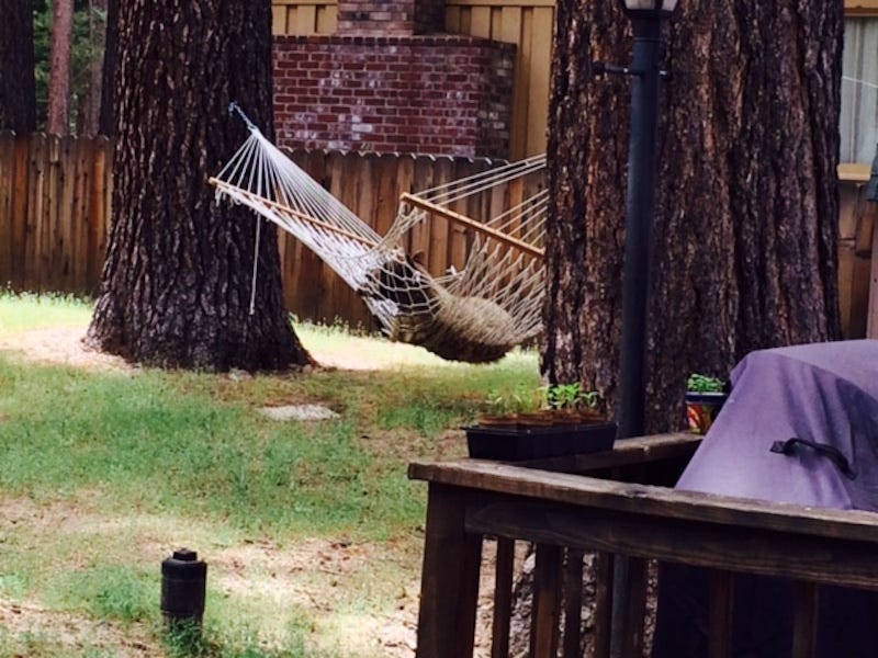 teddy bear hammock diy