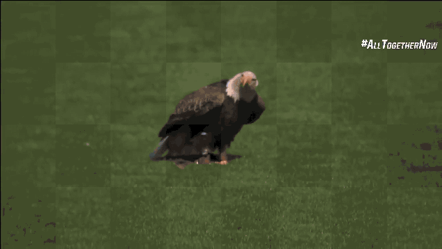 kq6wnmpue7t24o03uyal.gif
