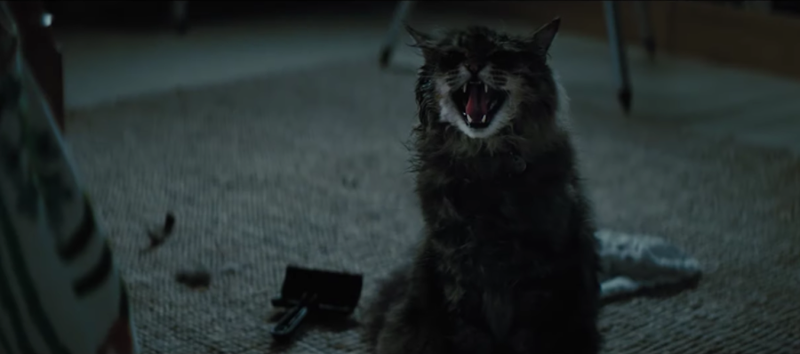 Illustration for article titled Stephen King still isn't a fan of Pet Sematary, but he digs the remake