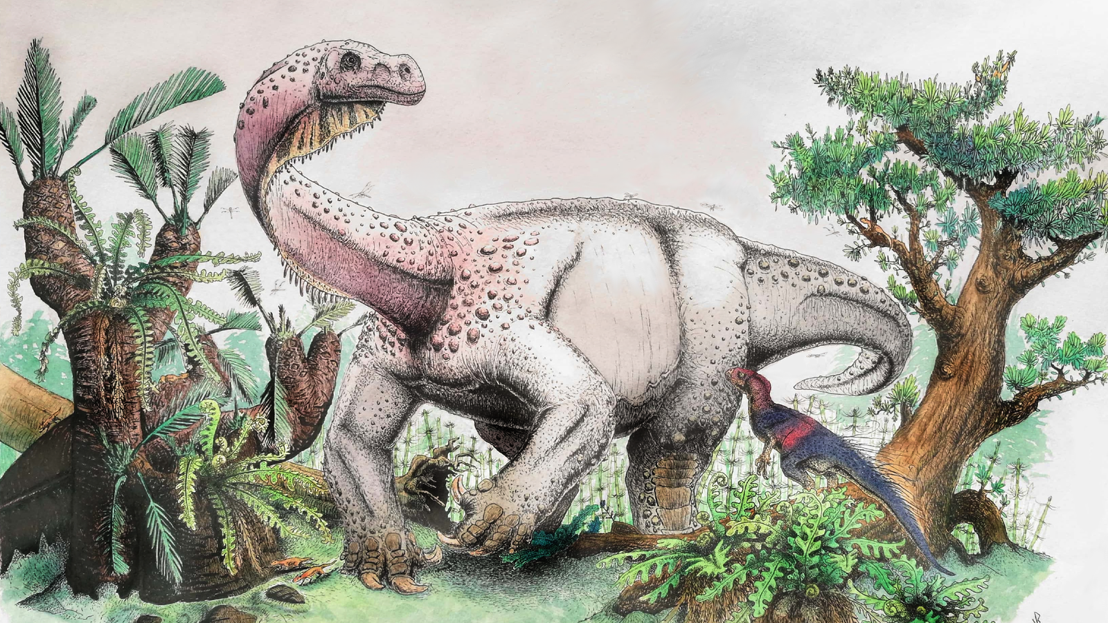 dinosaur with long pointy head