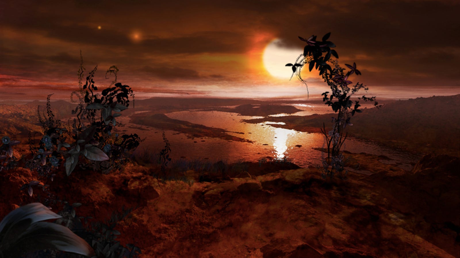 Picture of the Day April 4, 2012