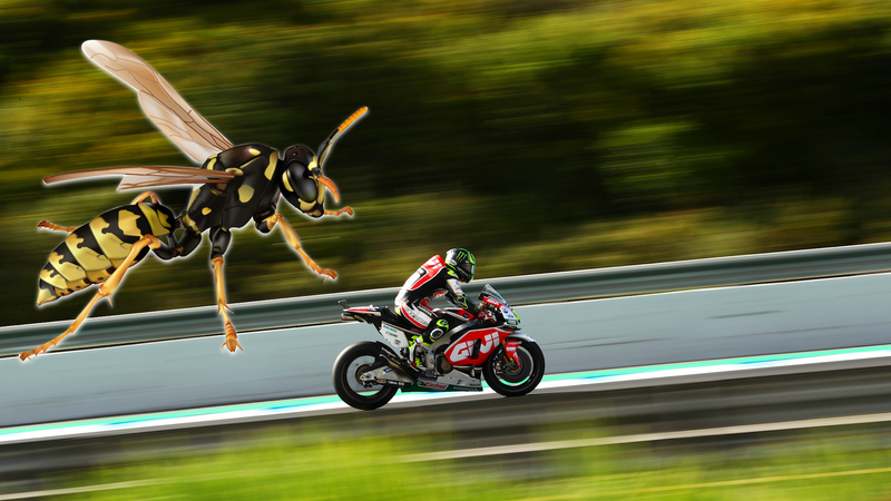 Cal Crutchlow during final practice, before the wasp got to him. Photo credit: Dan Istitene/Getty Images