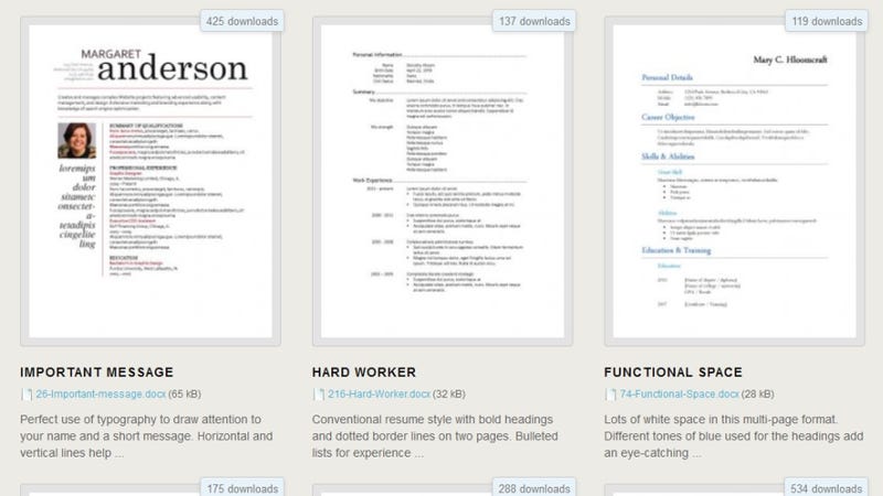 Professional resume formats word