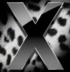 Illustration for article titled Cheetahs, Pumas and Tigers, Oh My: The Two-Minute OS X History Primer