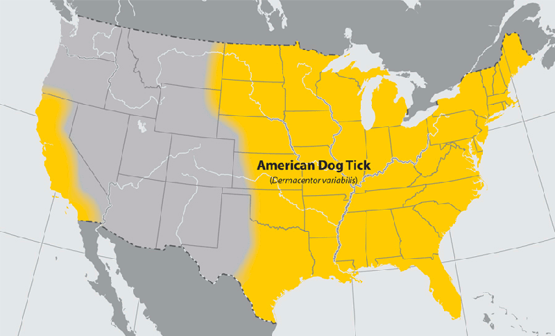 Tick Bite and Lyme Disease risk