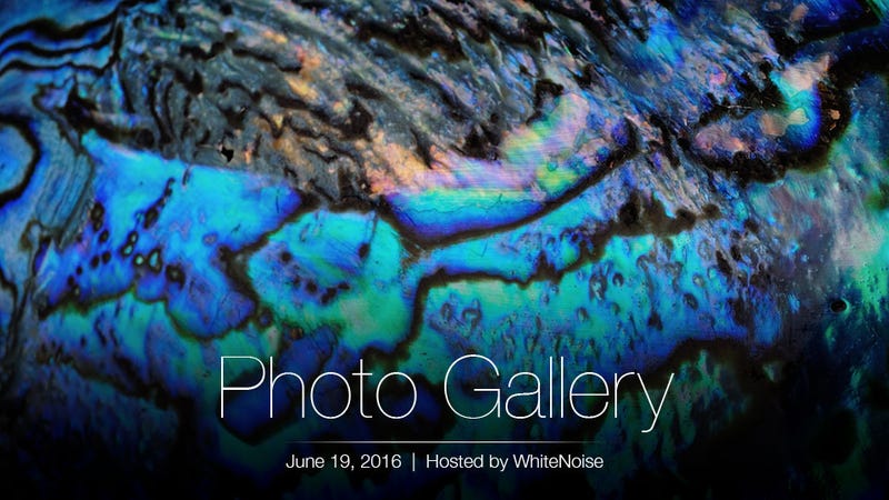 Illustration for article titled Photo Gallery