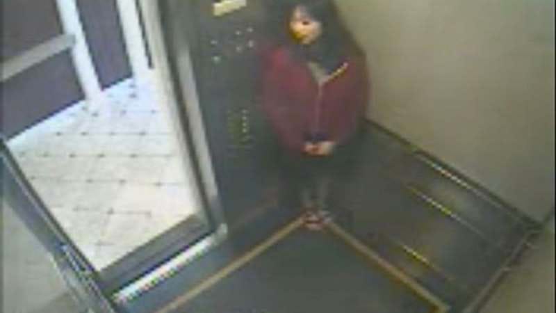 People are still trying to make a horror movie about Elisa Lam