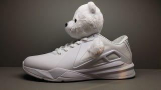 Illustration for article titled There Are No Pandas On Metta World Peace's New Panda Shoes