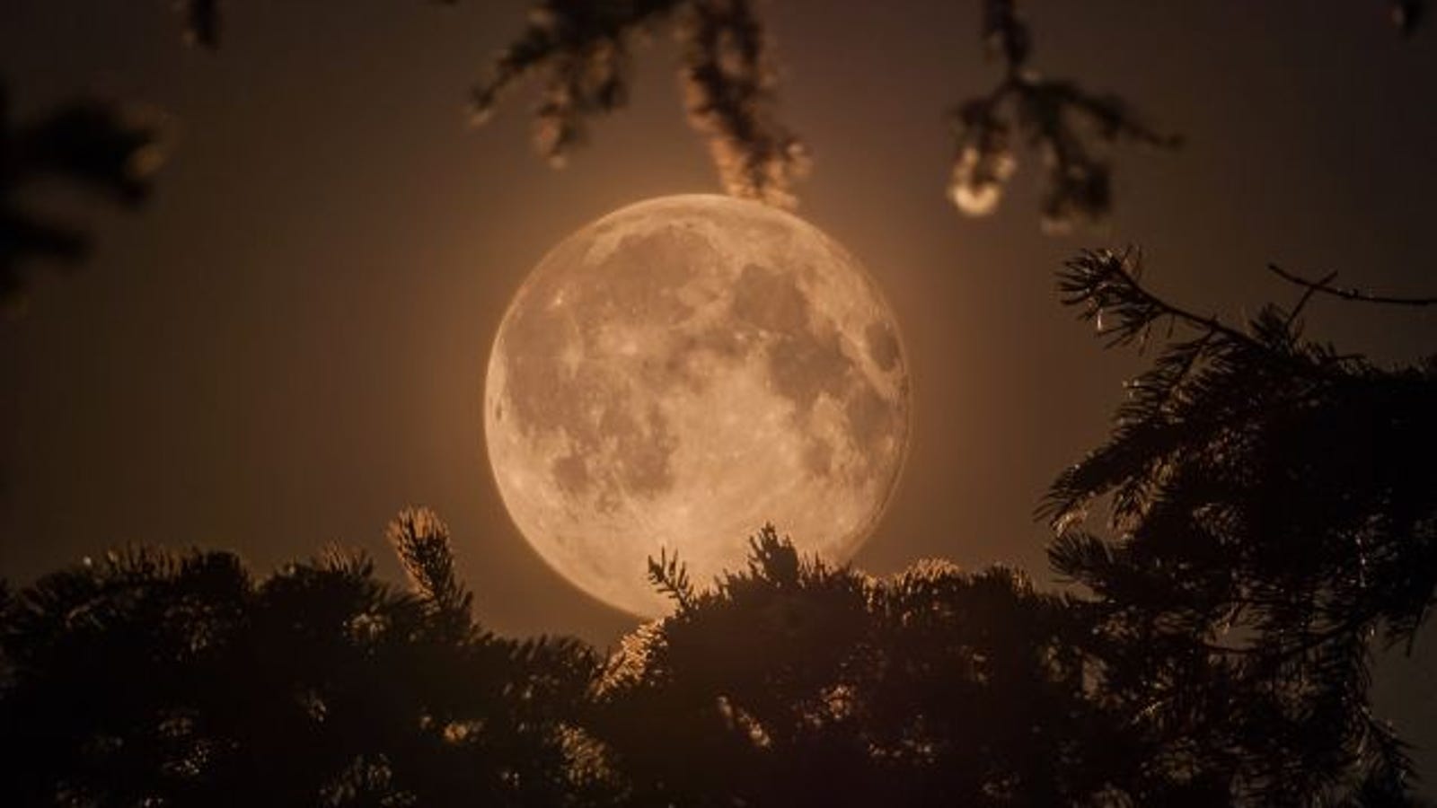 19 Stunning Photos Of The Years Biggest Most Beautiful Moon So Far