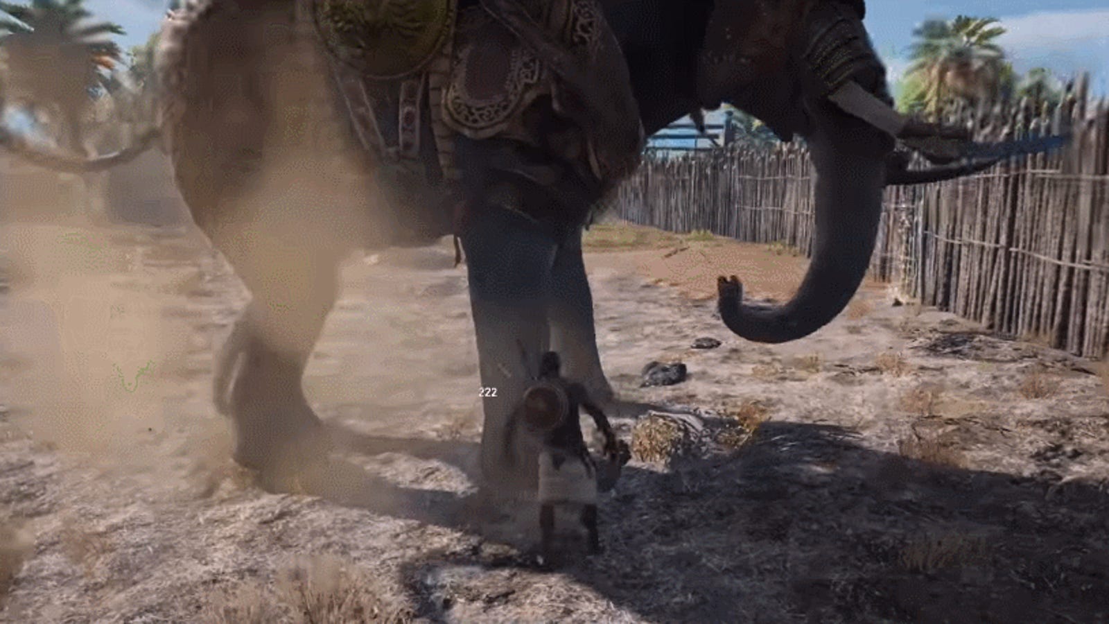 Assassins Creed Origins Player Tries To Kill A War Elephant With