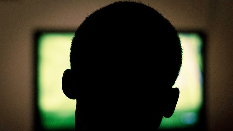 Illustration for article titled Your Binge-Watching of Netflix and Porn Is Contributing to Millions of Tons of Emissions a Year