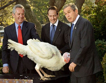 Illustration for article titled The 5 Easy Steps To Civil Holiday Conversation (Even If You're In A Red State!)