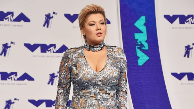 Illustration for article titled Teen Mom's Amber Portwood Charged With Domestic Battery