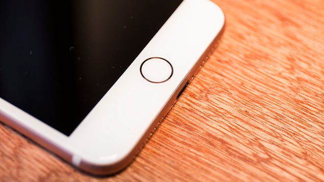 Could Apple Really Bring Back Touch ID on the iPhone 11?