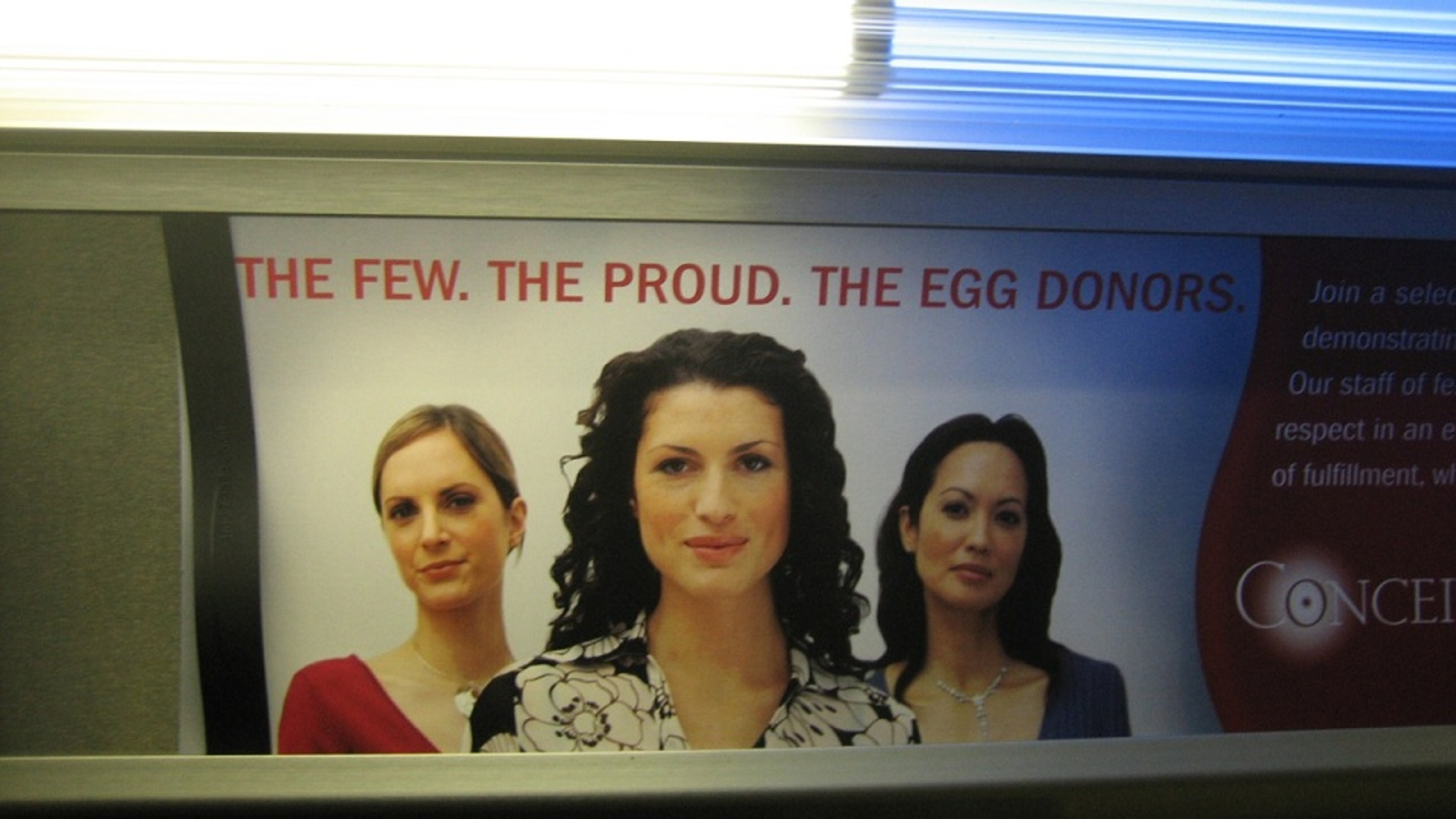 requirements to donate eggs in michigan