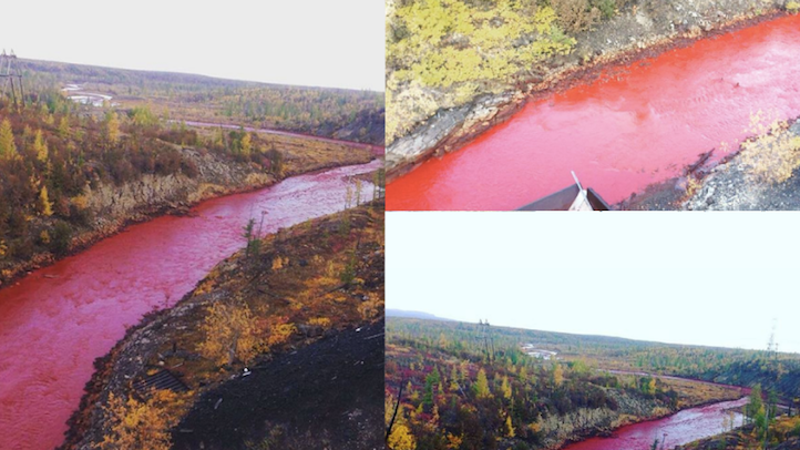 Бывает красная река. Красная река Далдыкан. Кровавая река Далдыкан Норильск. Норникель красные реки. Красная река в Норильске.