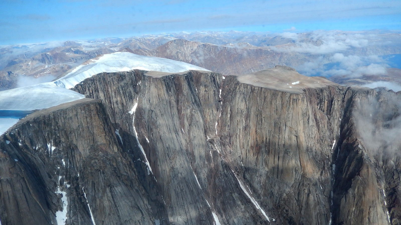 Ancient Plants Reveal Arctic Summers Haven't Been This Hot in 115,000 Years