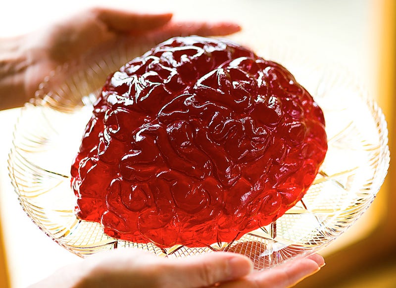 What would it really feel like to touch a human brain?