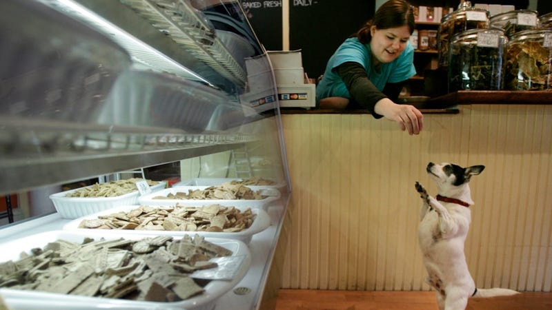Illustration for article titled Organic Pet Food Is Becoming a Thing Because Americans Humanize Pets