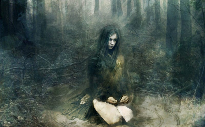 Illustration for article titled Lev Grossman Goes Where Other Coming-Of-Age Books Fear To Go: Adulthood