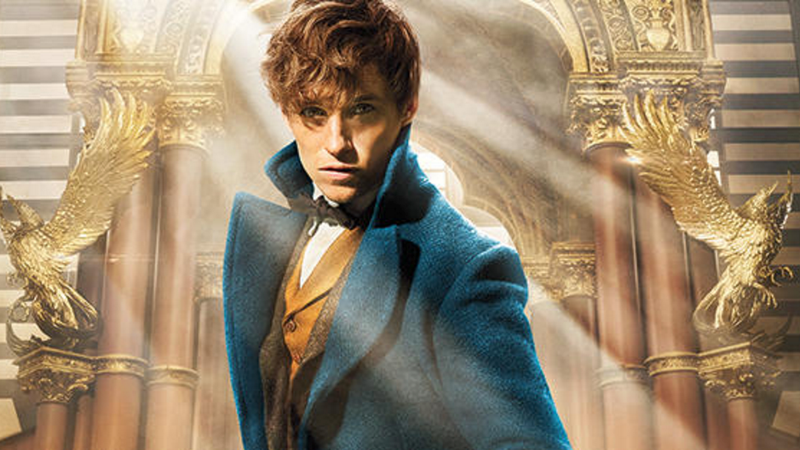 eddie redmayne fantastic beasts and where to find them niffler