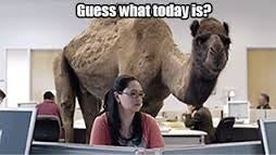 Illustration for article titled Daily Dump: Hump Day Edition