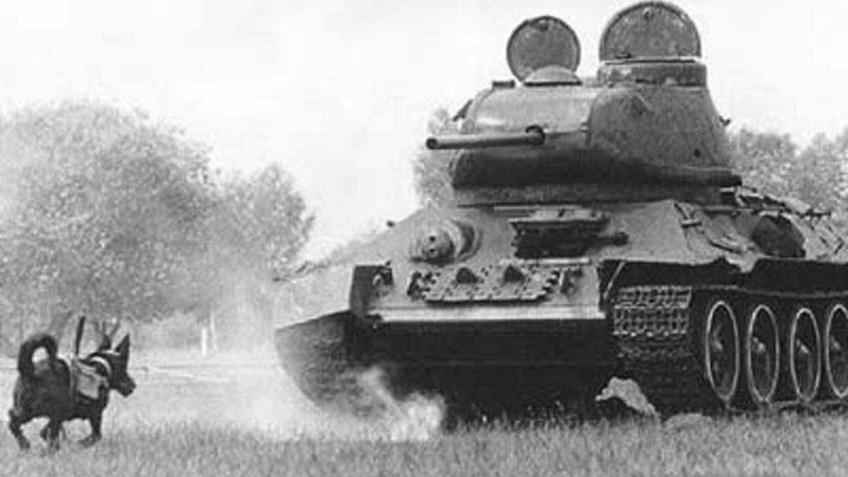 10 types of experimental weapons of the Nazis 10 types of experimental weapons of the Nazis
