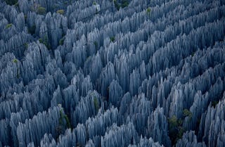 Illustration for article titled The bizarre limestone spires of Madagascar