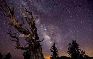 Illustration for article titled Astronomy Photographer of the Year 2010 Awards Gallery
