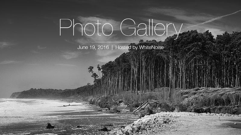 Illustration for article titled Photo Gallery