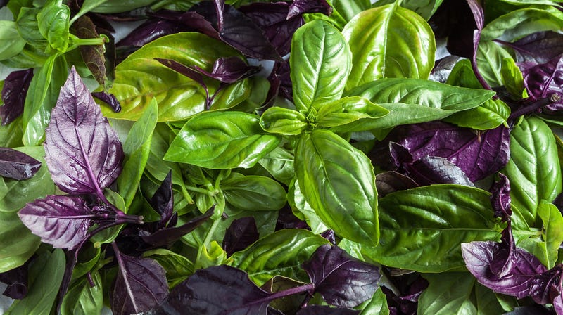 Illustration for article titled Break pesto from its Italian confines with spicy Thai basil noodles