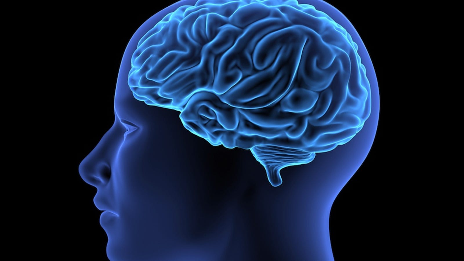 Large brain. Разговор мозга с телом. Nature Neuroscience. Big Brain. Brain Automatic.