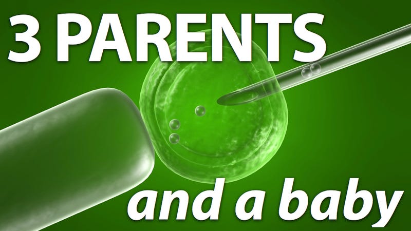Illustration for article titled Coming Soon: Babies With Three Parents And No Genetic Diseases